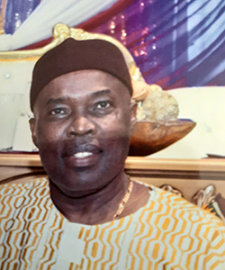 Godfrey Nwogu